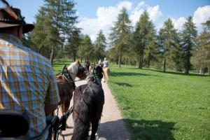 Hosté ubytování Reiterhof Edelweiss
