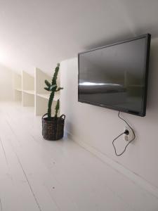 een flatscreen-tv hangend aan een muur met een cactus bij Lägenhet Färjestaden in Färjestaden