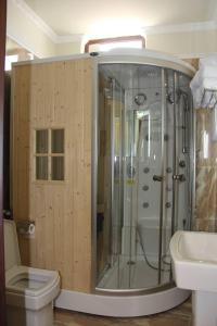 a bathroom with a shower and a toilet and a sink at Hotel Vila Alfa in Korçë