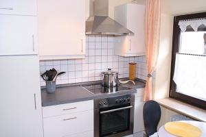 Il comprend une petite cuisine équipée d'une cuisinière et d'un évier. dans l'établissement Ferienwohnung Helfenstein, à Idar-Oberstein