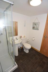 a bathroom with a toilet and a sink and a shower at Northness Apartments, Lerwick Self Contained in Lerwick +16 photos