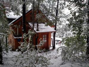a cabin in the woods with snow on the ground at Calen-Hue in San Carlos de Bariloche