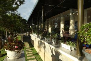 Zahrada ubytování Ky Hoa Hotel Da Lat