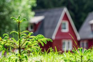 uma casa vermelha com uma árvore em frente em Erzgebirgsidyll em Breitenbrunn