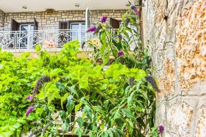 Ein Garten an der Unterkunft Apartments Petra