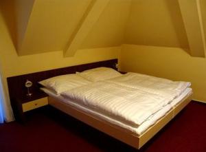 Gallery image of Hotel Altenberg in Staré Hory