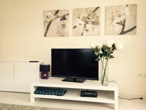 A television and/or entertainment centre at Apartamento Pargue Tropical
