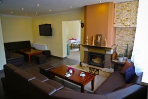 a living room with a couch and a fireplace at Willa Victoria in Szklarska Poręba