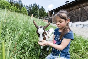 Kép Ahner Berghof szállásáról Rodengóban a galériában