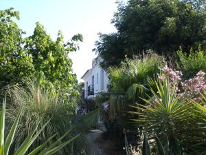 
a small house with a garden and trees at La Finca Blanca in Alora
