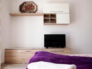 TV a/nebo společenská místnost v ubytování Apartments Pomalo