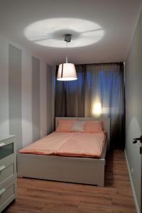 ワルシャワにあるApartament Anetaのベッドルーム1室(ベッド1台、シーリングファン付)