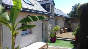 una casa con un patio verde con una planta en Saumur Loire Chambres et Gîte, en Vernantes