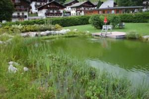 Paesaggio naturale nelle vicinanze dell'appartamento