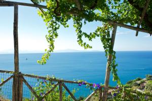 a view of the ocean from a tree at Sopra il Limoneto in Cetara
