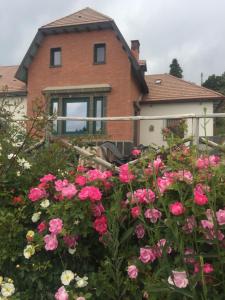 Zahrada ubytování Hotel Villa Dorata