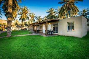 a house with a yard with palm trees at Daria- Authentic Israeli Experience in Samra