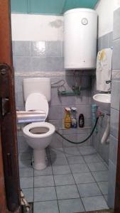 a small bathroom with a toilet and a sink at Vikend kuća Elmina Gorani VISOKO in Visoko