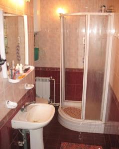 a bathroom with a shower and a toilet and a sink at Guest House 1279 in Zatoka +30 photos