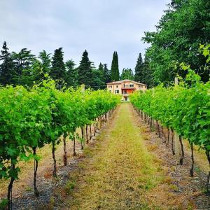 Zdjęcie z galerii obiektu Residenza Eden w mieście Colà di Lazise