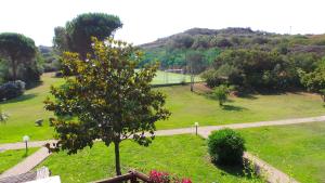 a tennis court in a park with a tree at Residence Sottomonte in Golfo Aranci