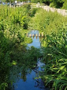 a river with rocks in the middle of a field at Streamside Apartments in Yeovil