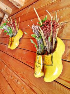 Fotografie z fotogalerie ubytování Albergo Genzianella v destinaci Careggine