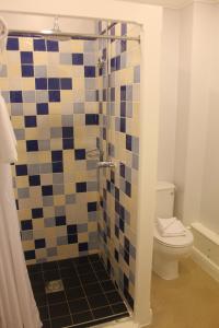 a bathroom with a shower with a toilet at Nant Ddu Lodge Hotel & Spa in Merthyr Tydfil