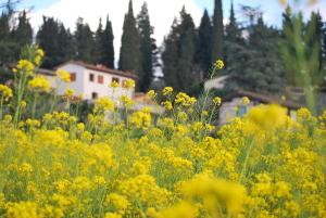 A garden outside Appartamento Piero