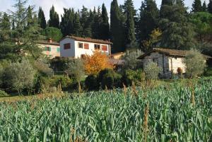 A garden outside Appartamento Piero