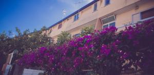 Une bande de fleurs violettes devant un bâtiment dans l'établissement Cassiodoro Rooms Affittacamere, à Catanzaro