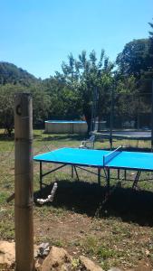 Stolní tenis v ubytování Le Mas Sylva nebo okolí