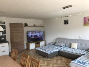 ein Wohnzimmer mit Couch und Fernseher in der Unterkunft Ferienhaus Grobauer II in Schwarzenberg am Bohmerwald
