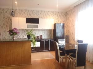 Kuchyň nebo kuchyňský kout v ubytování Guest House Tamta