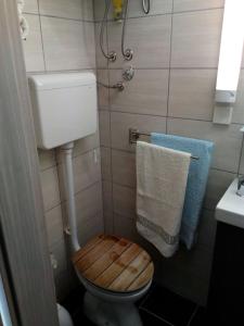 Koupelna v ubytování Apartment Kolman