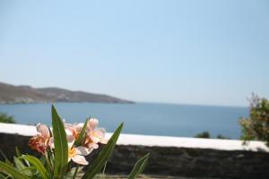 Paisagem natural perto do apart-hotel