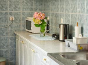 eine Küchentheke mit einer Mikrowelle und Blumen in einer Vase in der Unterkunft Apartman Josipa in Drežnik Grad