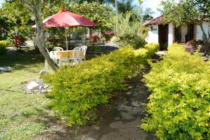 Fotografie z fotogalerie ubytování Hotel Campestre la Loma curiti v destinaci Curití