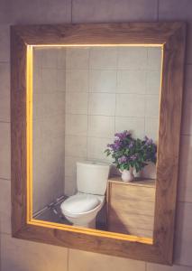 a bathroom with a toilet in a wooden frame at Palade Retrovisiit Meida in Palade