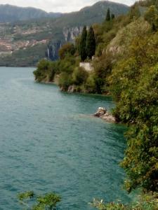 a view of a body of water with trees at Casa Lory in Marone