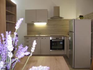 Kuchyň nebo kuchyňský kout v ubytování Apartments Reida