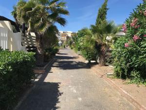 an empty street with palm trees and a building at Cap Locations Naturisme in Cap d'Agde