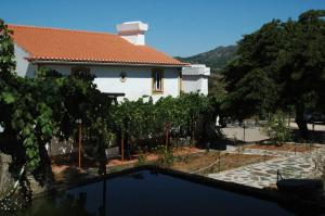 Výhľad na bazén v ubytovaní Quinta Do Vaqueirinho - Agro-Turismo alebo v jeho blízkosti