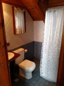 a bathroom with a toilet and a shower curtain at Calen-Hue in San Carlos de Bariloche