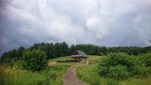 Przyroda w pobliżu tego domku letniskowego