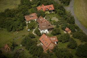 un grupo de casas en un campo con árboles en Altes Gehöft am Lormanberg, en Kirchberg an der Raab