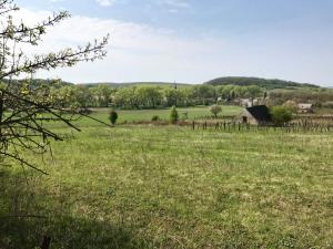 un campo de hierba con un antiguo granero en la distancia en Káli Kerted Vendégházak Monoszló Lidi néni háza en Monoszló