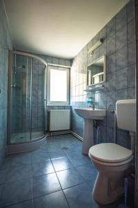 a bathroom with a toilet and a sink and a shower at Villa Atriolum in Băile Tuşnad