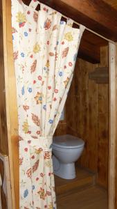 a bathroom with a toilet and a shower curtain at Residence Les Myosotis in Champoluc