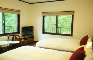 a bedroom with two beds and a tv and two windows at Hakuba Skala Inn in Hakuba